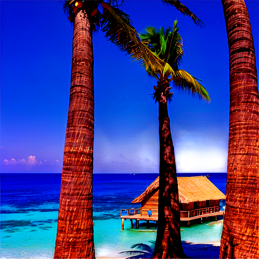 Seaside Palms View Png Udc35 PNG Image