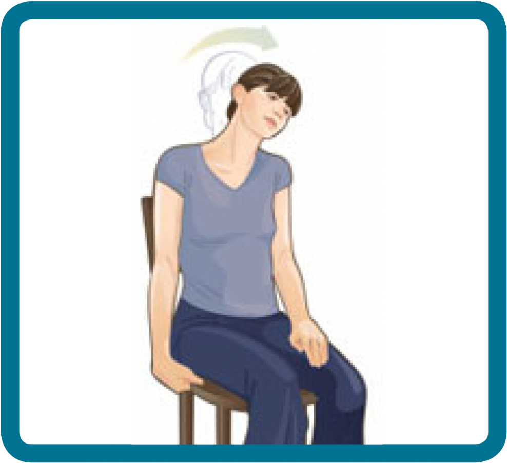 Seated Neck Stretch Illustration PNG Image