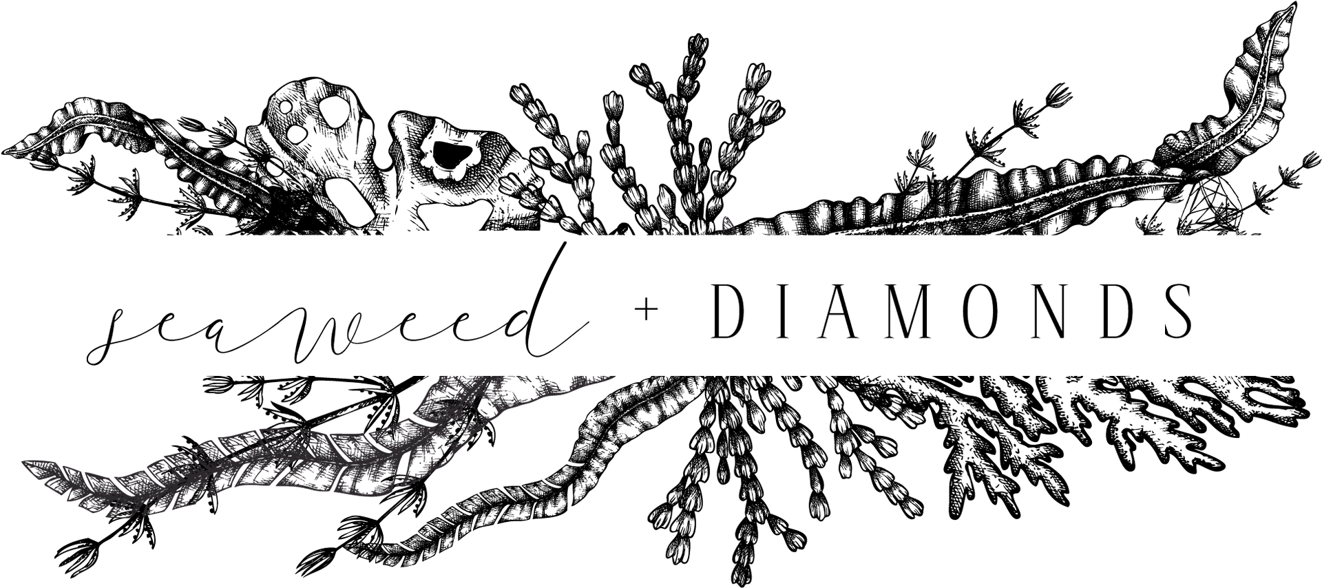 Seaweed Diamonds Logo PNG Image