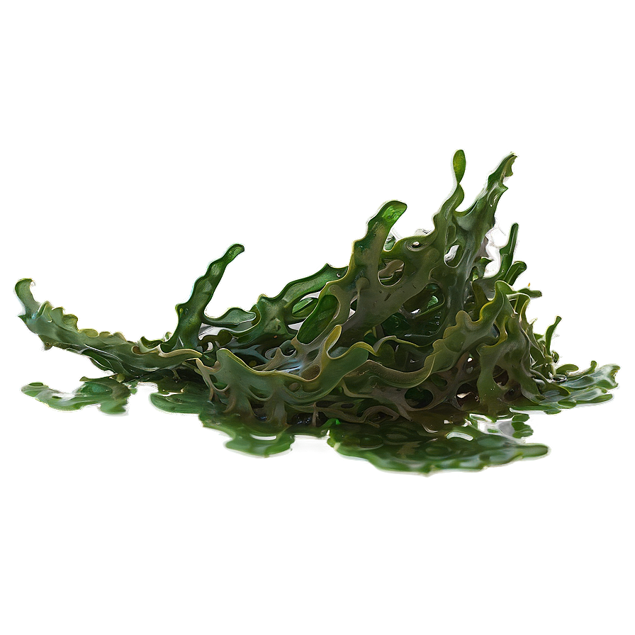 Seaweed On Ocean Floor Png Urp48 PNG Image