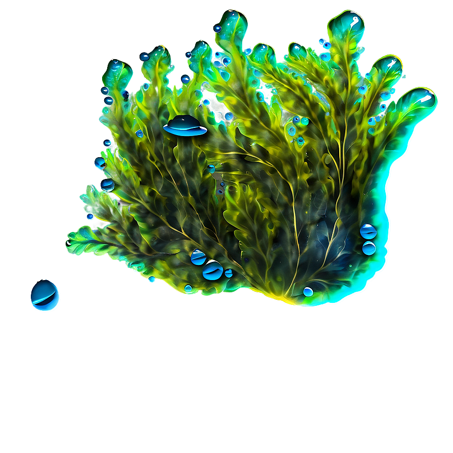 Seaweed With Bubbles Png Lsu30 PNG Image