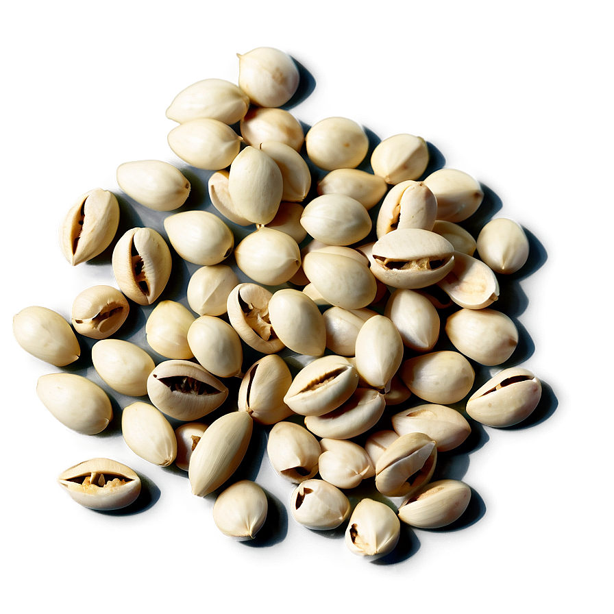 Seed B PNG Image