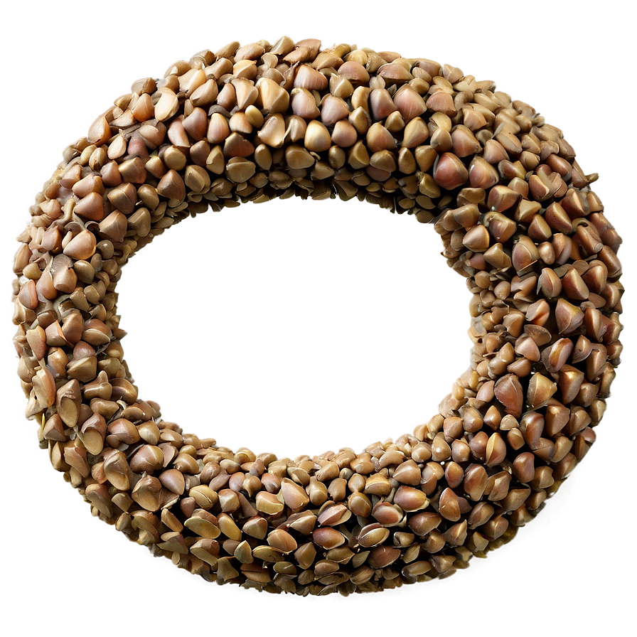 Seed D PNG Image