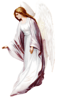 Serene Angel Illustration PNG Image