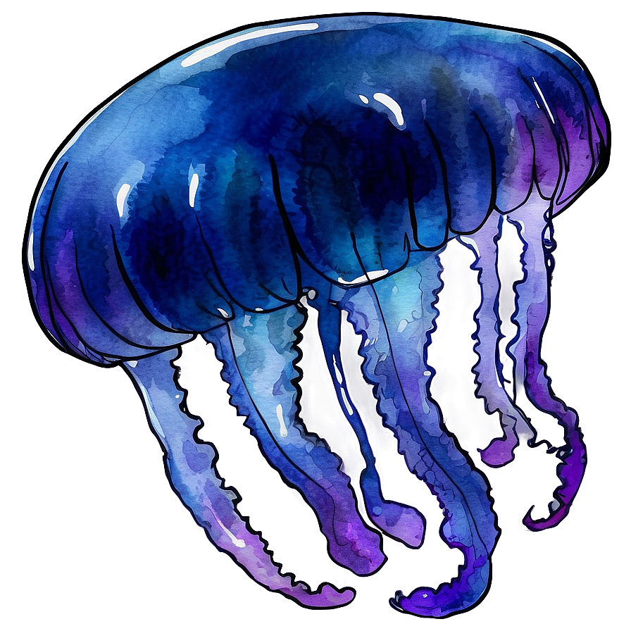 Serene Moon Jelly Watercolor Png Whh2 PNG Image