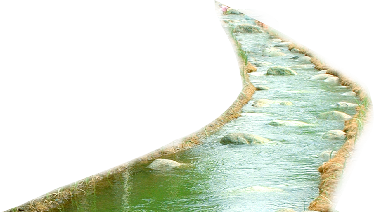 Serpentine Lake Edge PNG Image