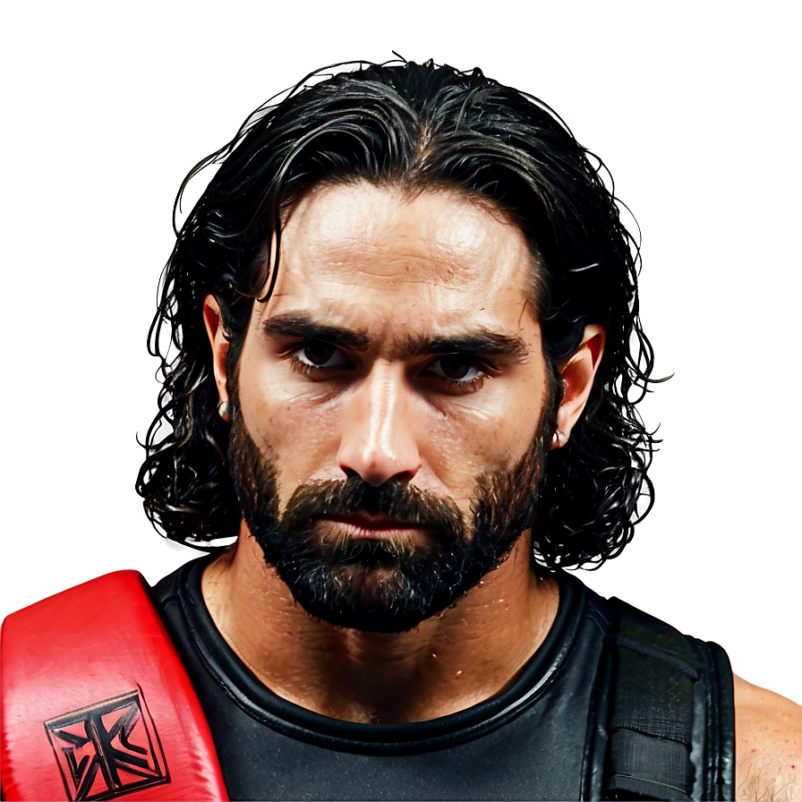 Seth Rollins Inspirational Quote Png Iid69 PNG Image