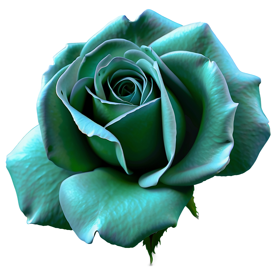 Shaded Rose Png Cdy86 PNG Image