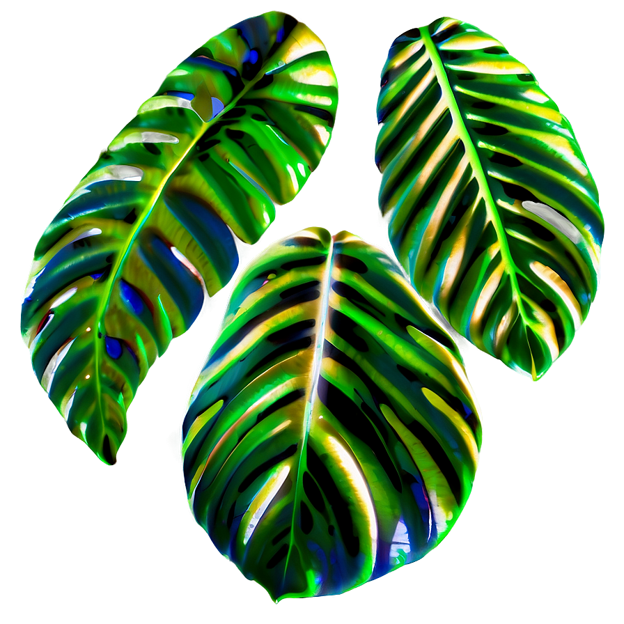 Shadow Leaves Png Pju PNG Image