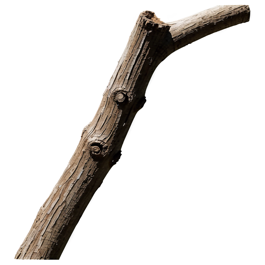 Shadowed Twig Png 45 PNG Image