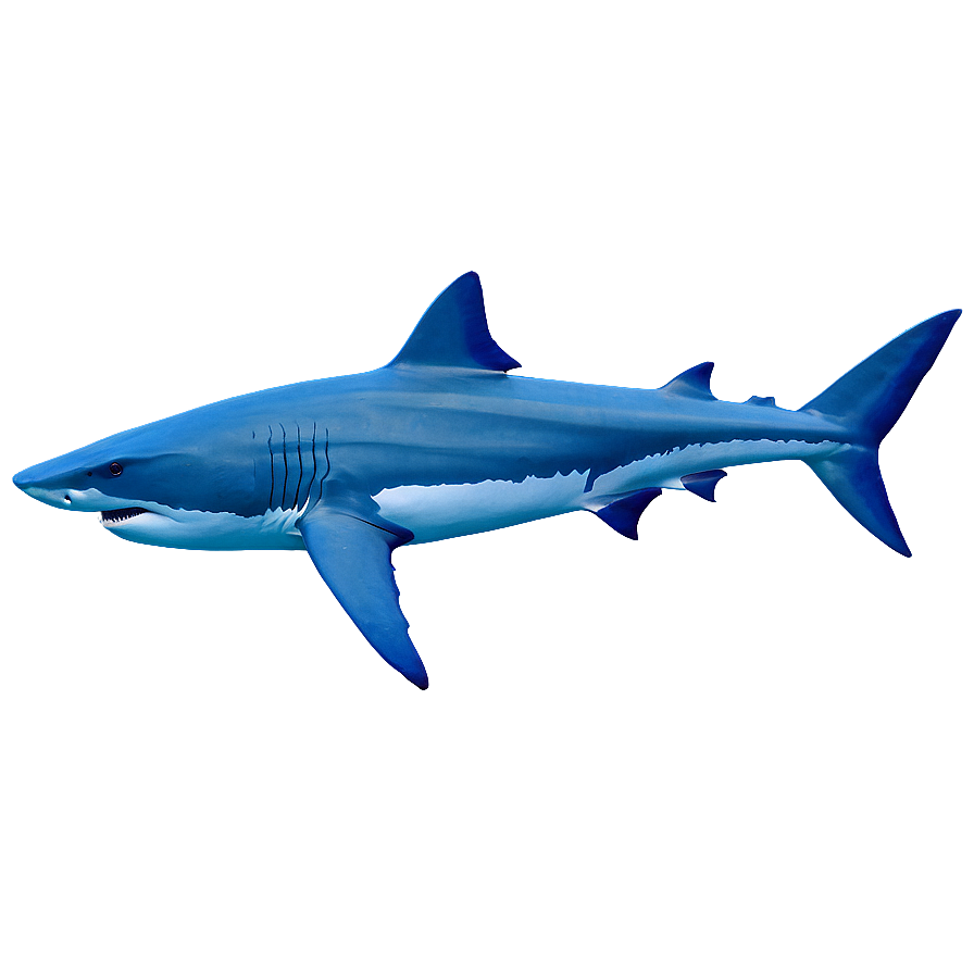 Shark Cage Diving Adventure Png Pvg PNG Image