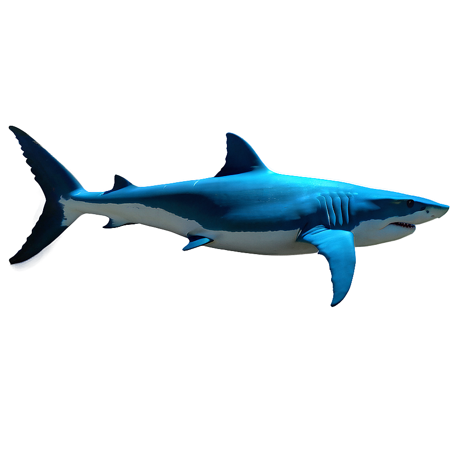 Shark Family Png 05032024 PNG Image