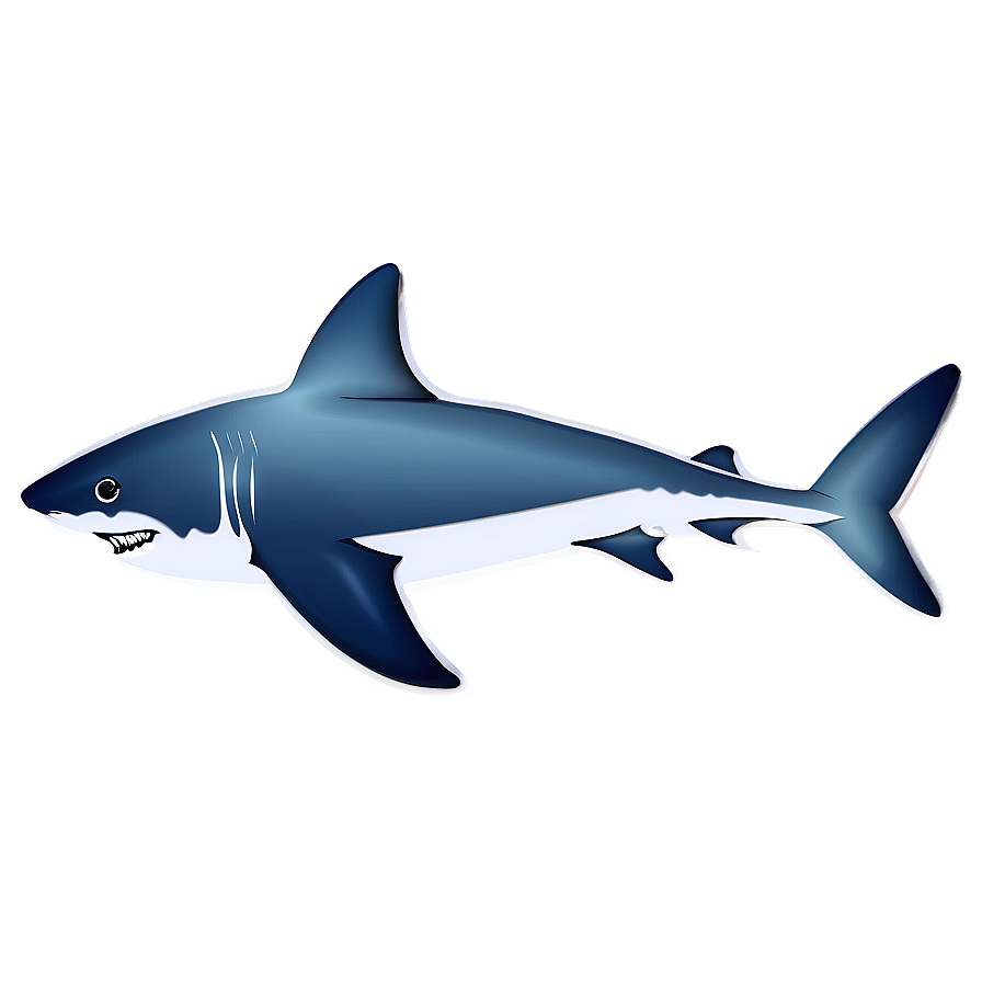 Shark Illustration Png 94 PNG Image