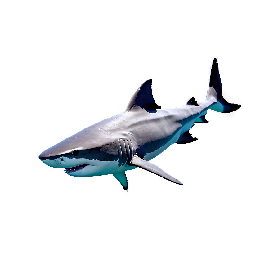 Shark In Water Png 57 PNG Image