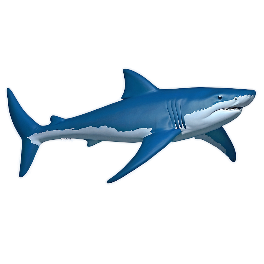 Shark Outline Drawing Png 90 PNG Image