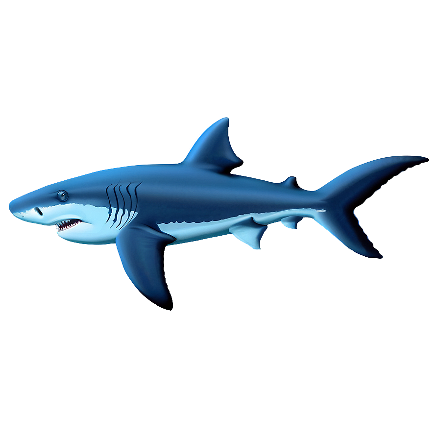 Shark Outline Drawing Png Clf PNG Image