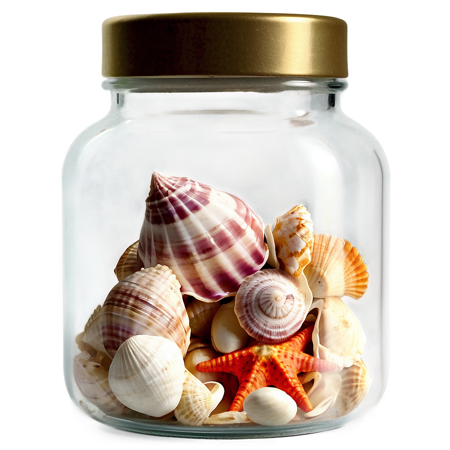 Shells In A Glass Jar Png Pkh PNG Image