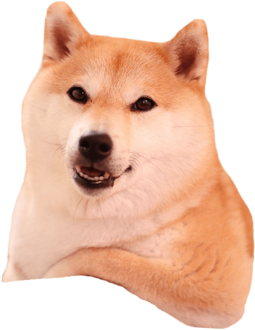 Shiba Inu Cushion Design PNG Image