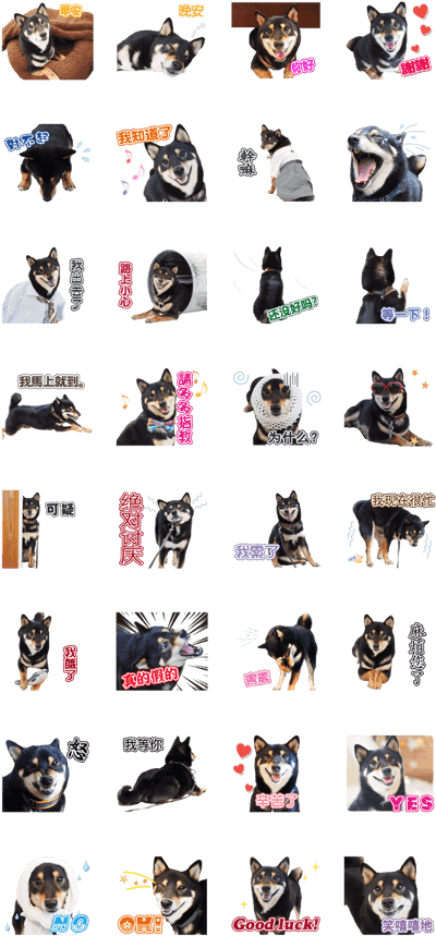 Shiba Inu Emotion Stickers PNG Image