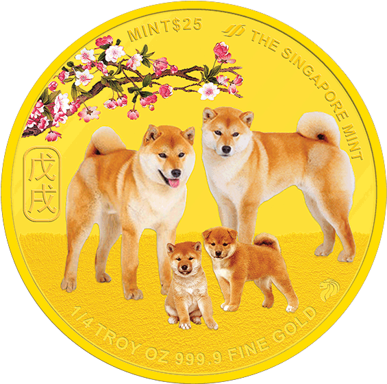 Shiba Inu Gold Coin Design PNG Image