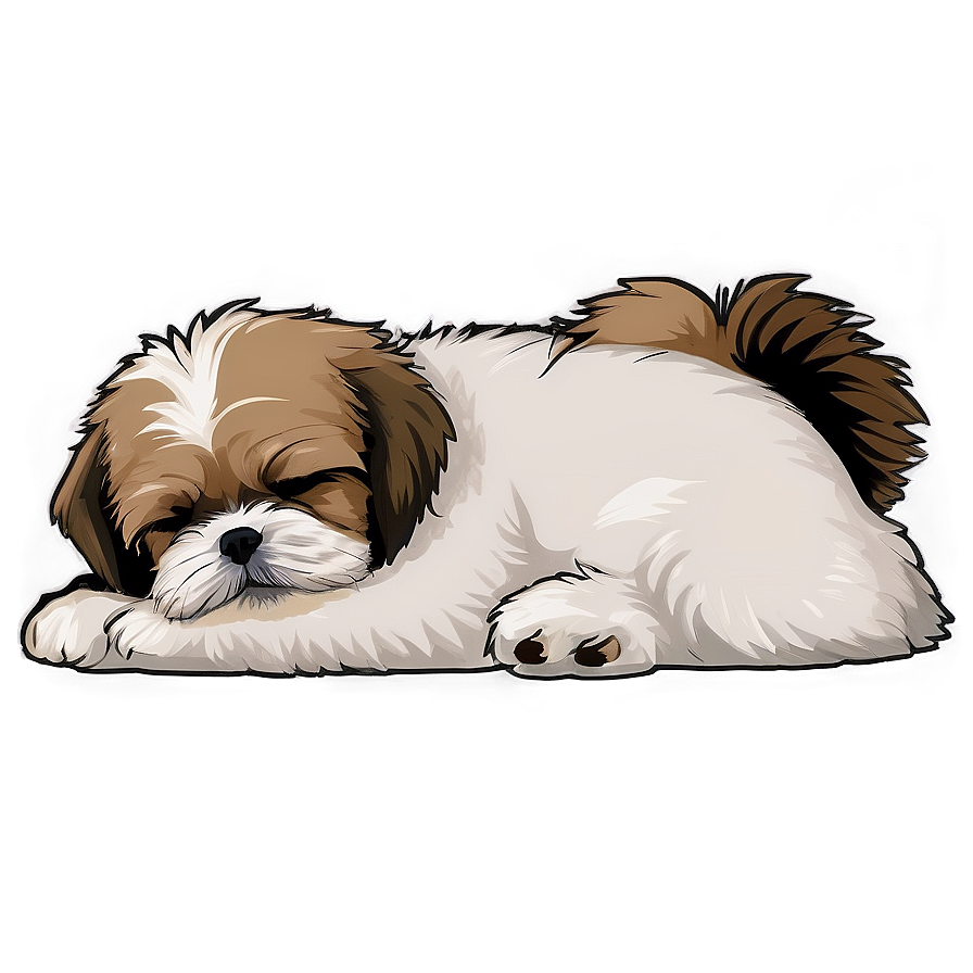 Shih Tzu Sleeping Peacefully Png 06242024 PNG Image