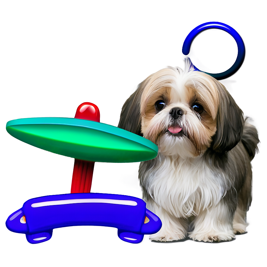 Shih Tzu Summer Fun Png Ngu PNG Image