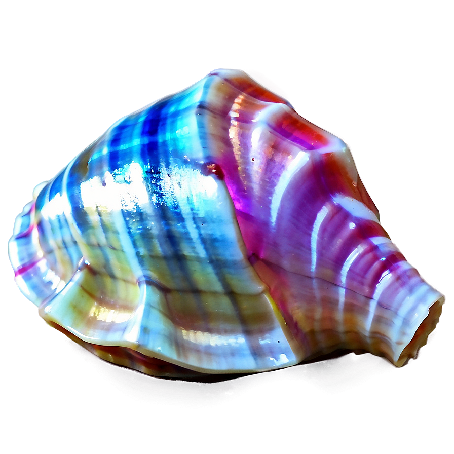 Shimmering Conch Shell Png Qgl PNG Image