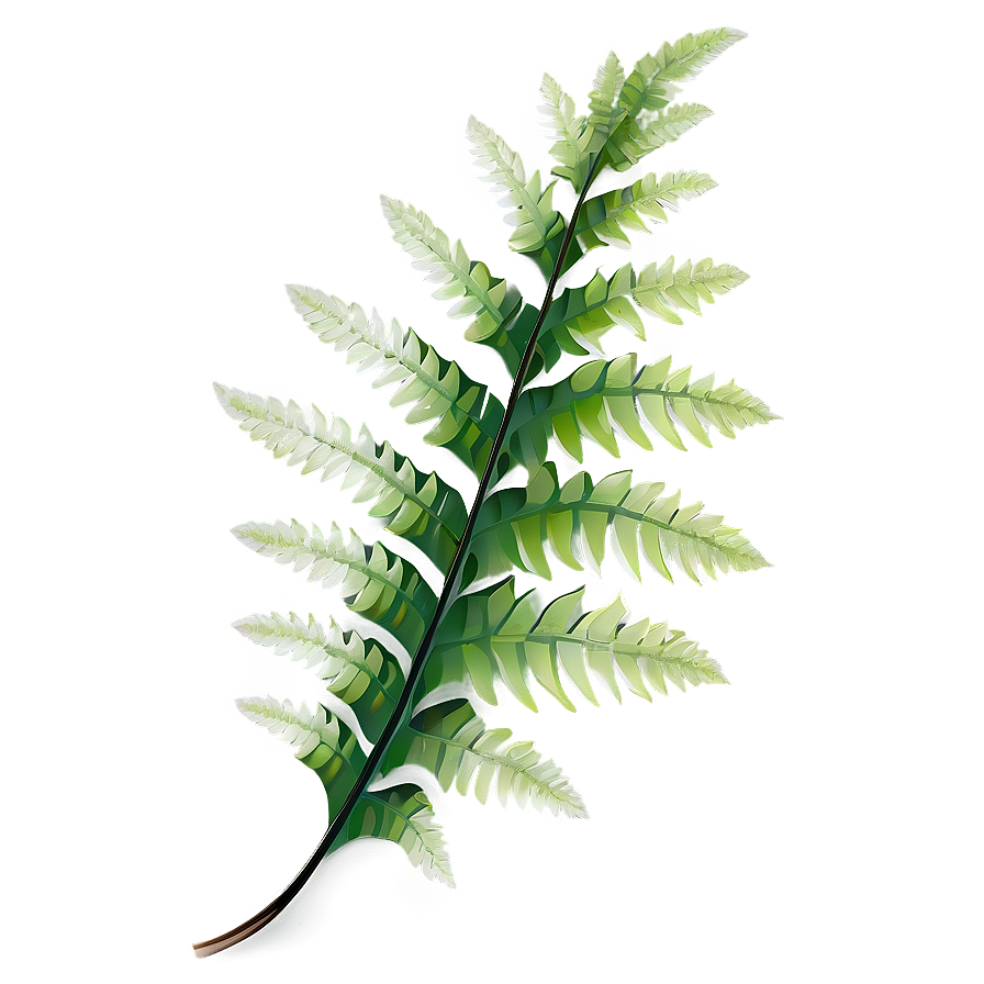 Shimmering Fern Leaf Beauty Png Atw9 PNG Image