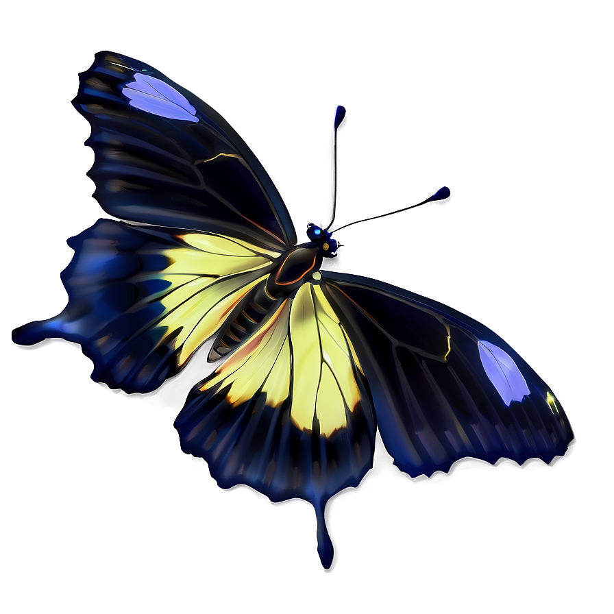 Shiny Black Butterfly Png Mdp74 PNG Image