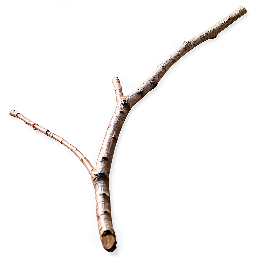 Shiny Twig Png 06132024 PNG Image