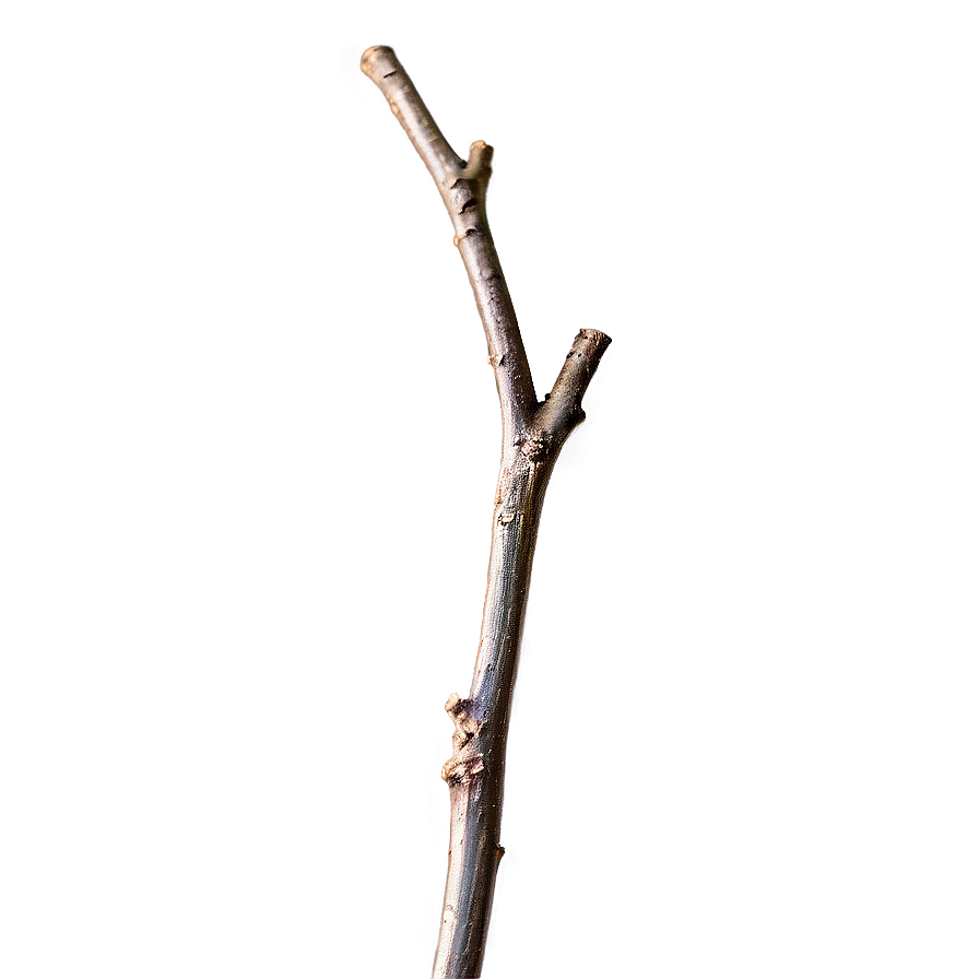 Shiny Twig Png 06132024 PNG Image