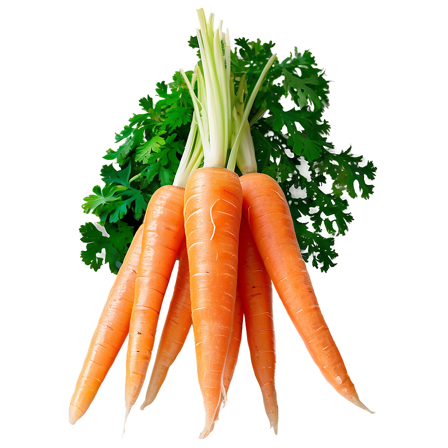 Shredded Carrot Png 05242024 PNG Image