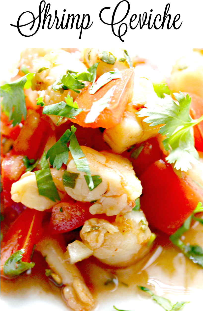 Shrimp Cevichewith Coriander PNG Image