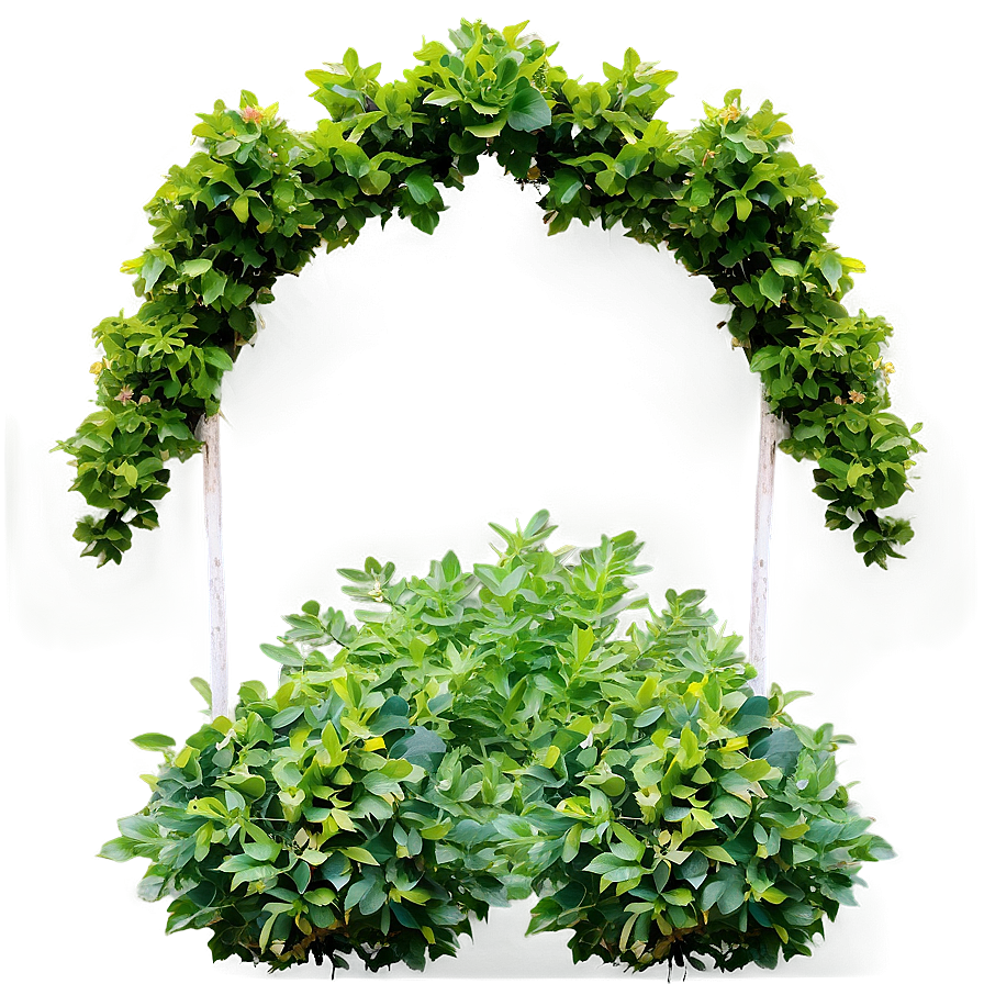 Shrub Border Png 86 PNG Image