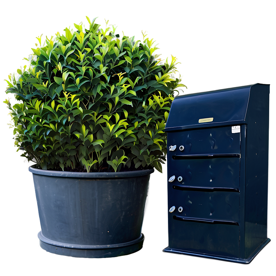 Shrub For Privacy Png Nnd47 PNG Image