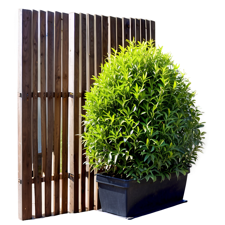 Shrub For Privacy Png Vpn76 PNG Image