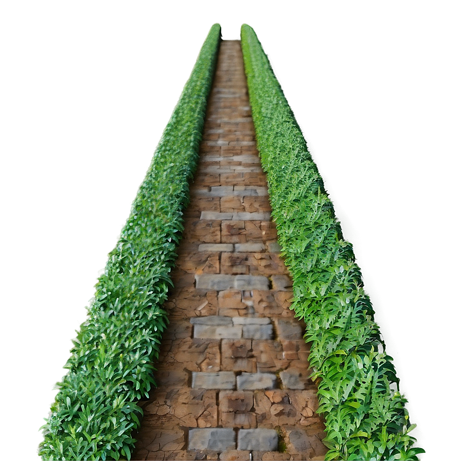 Shrub Pathway Png 30 PNG Image