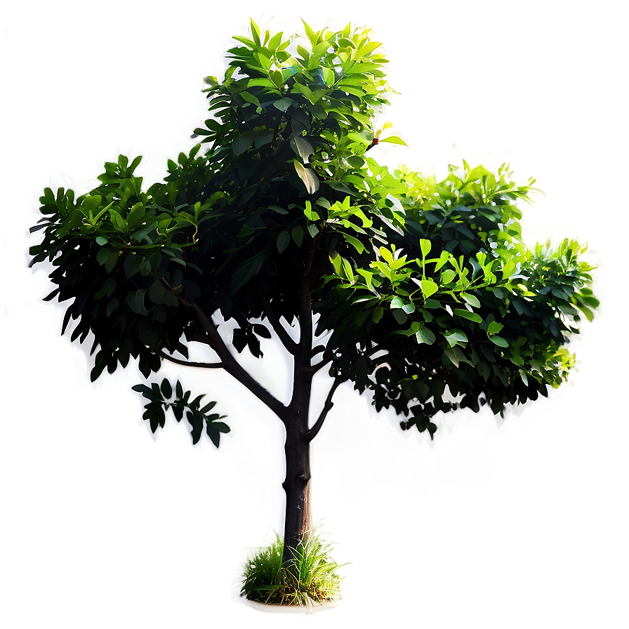 Shrub Silhouette Png Obc54 PNG Image