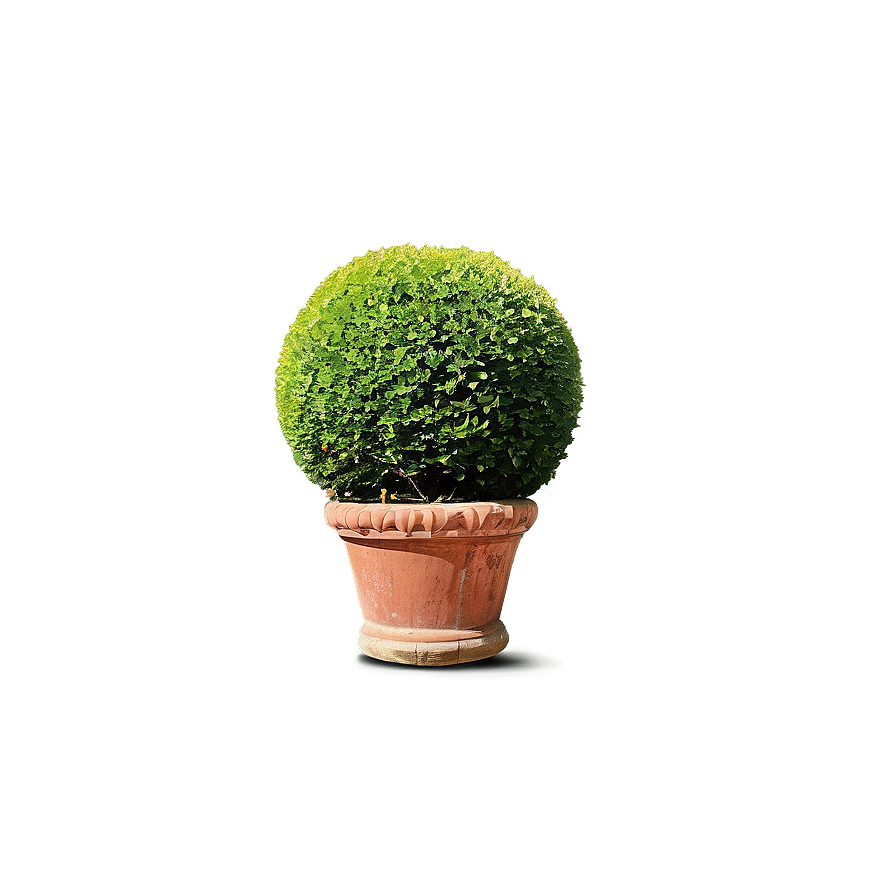 Shrub Topiary Png 05252024 PNG Image