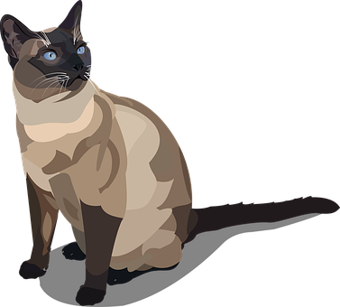 Siamese Cat Illustration PNG Image