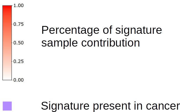 Signature Contribution Cancer Research PNG Image