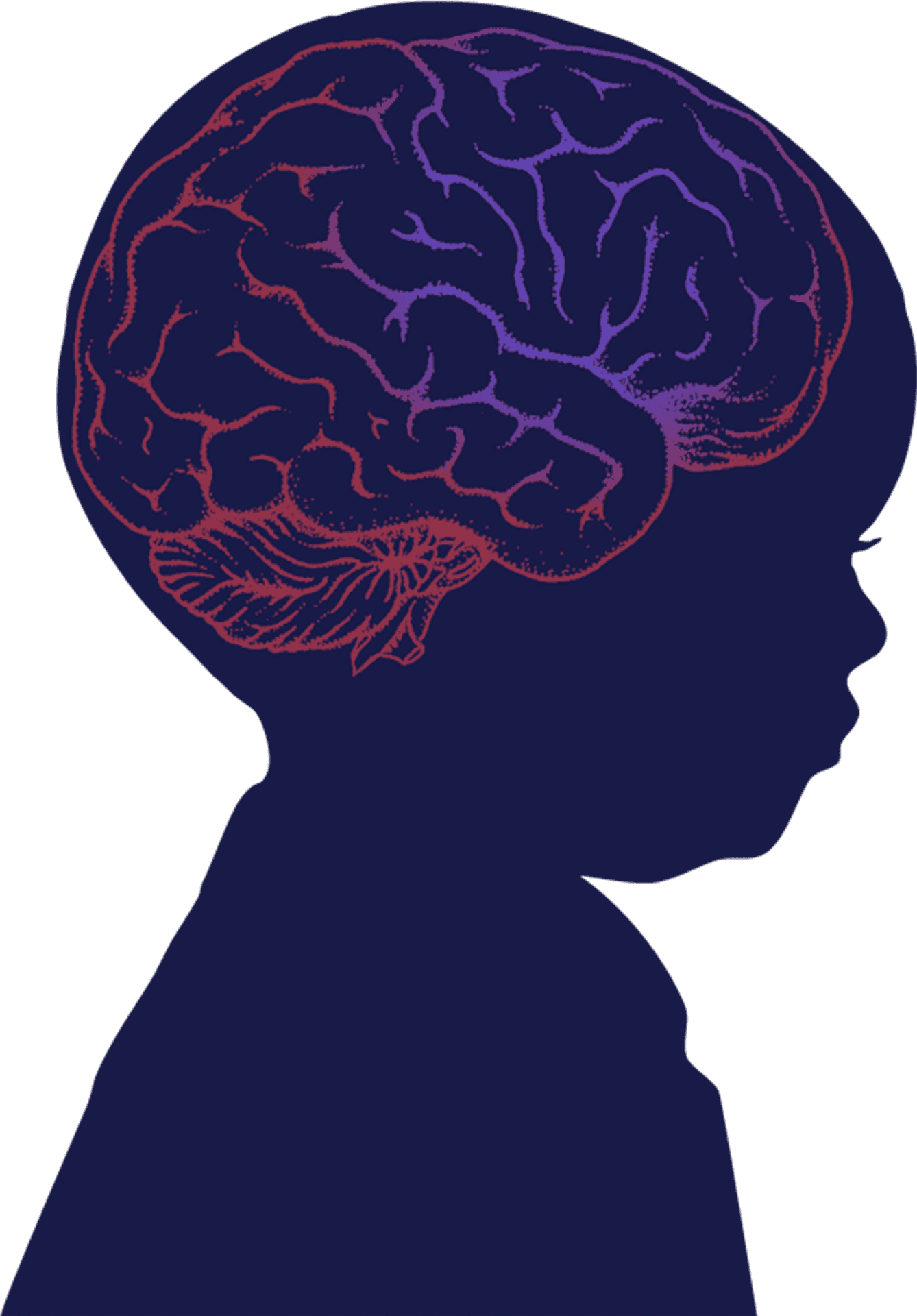 Silhouette Brain Illustration PNG Image