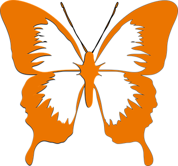 Silhouette Butterfly Human Face Illusion PNG Image