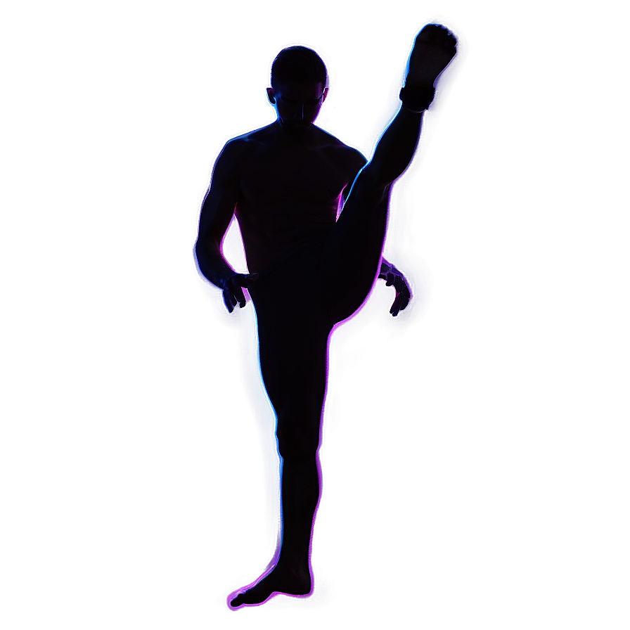 Silhouette Kick Pose Png Lnh29 PNG Image