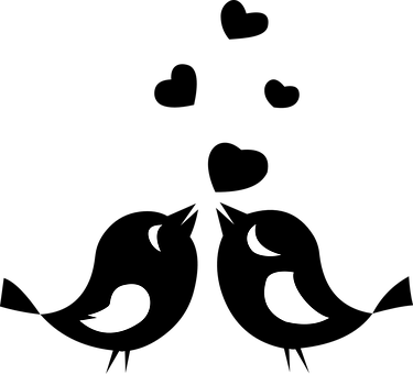 Silhouette Love Birds Moon PNG Image