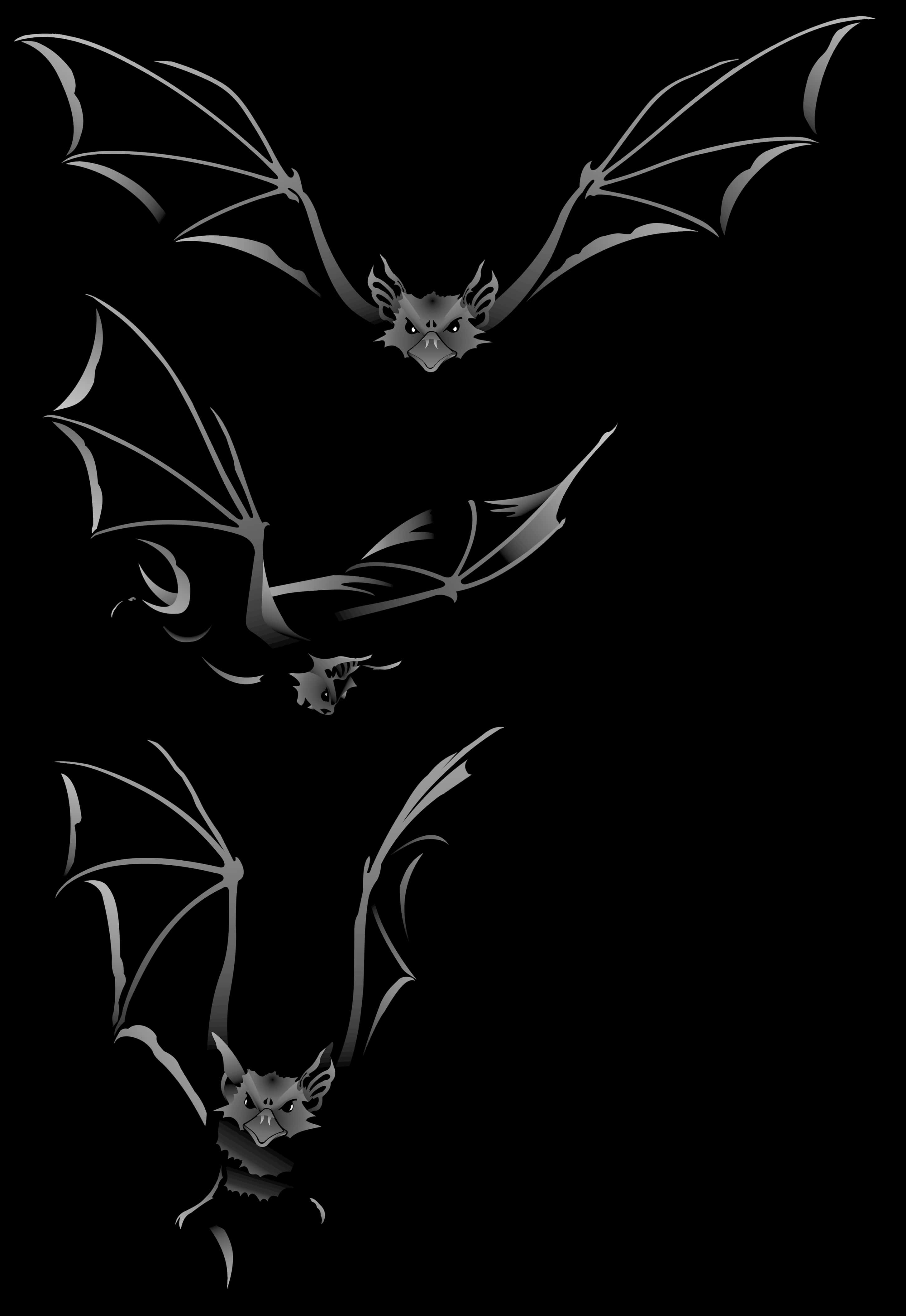 Silhouetted Batsin Flight PNG Image