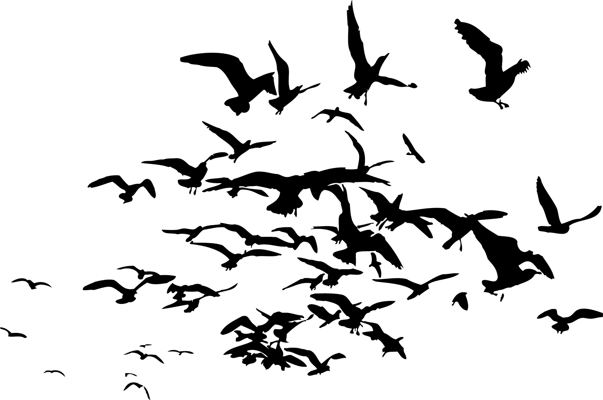 Silhouetted Birdsin Flight PNG Image