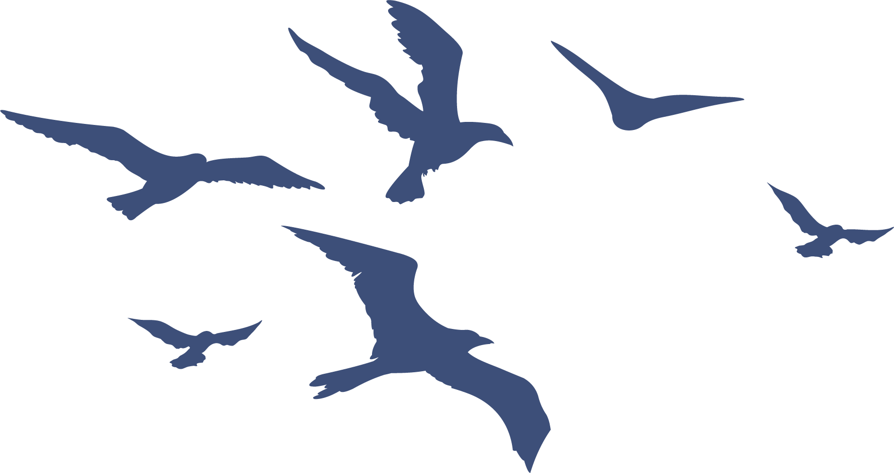 Silhouetted Birdsin Flight PNG Image