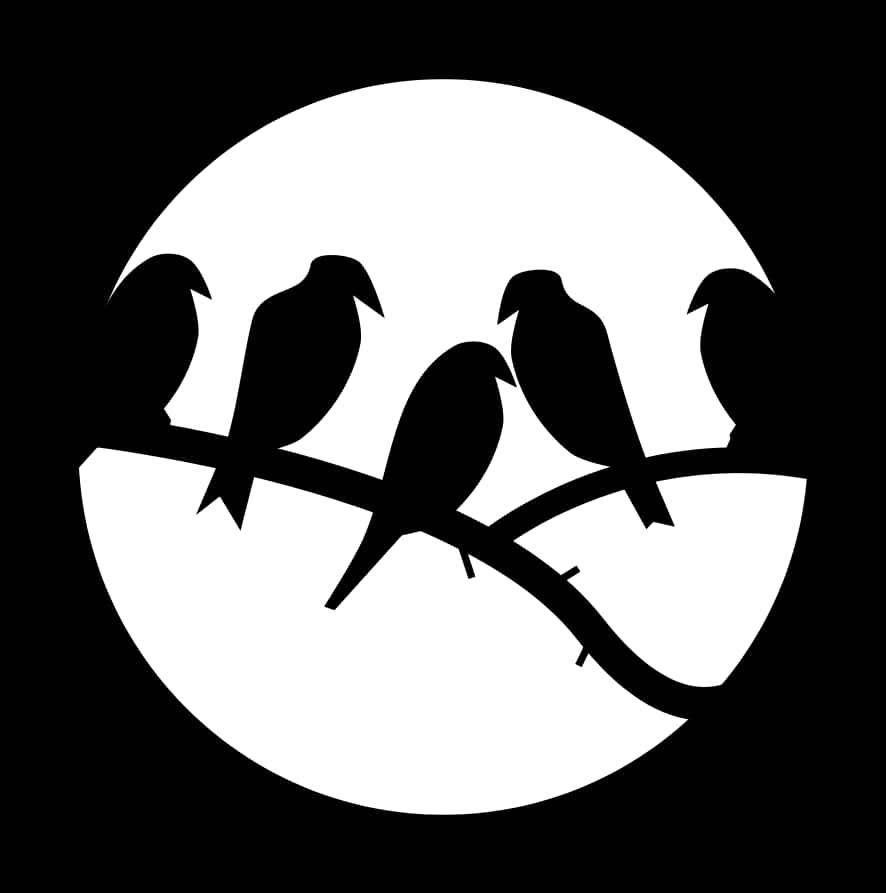 Silhouetted Birdson Branch PNG Image