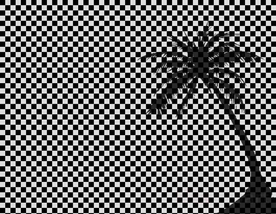 Silhouetted Coconut Tree Transparent Background PNG Image